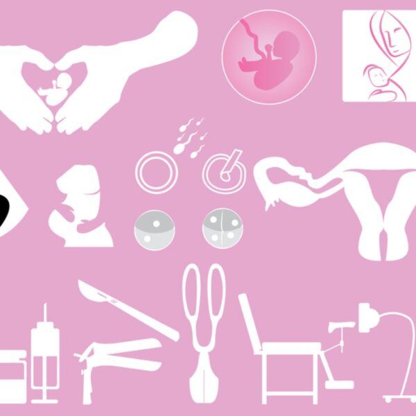 Gynecology and Obstetrics 8