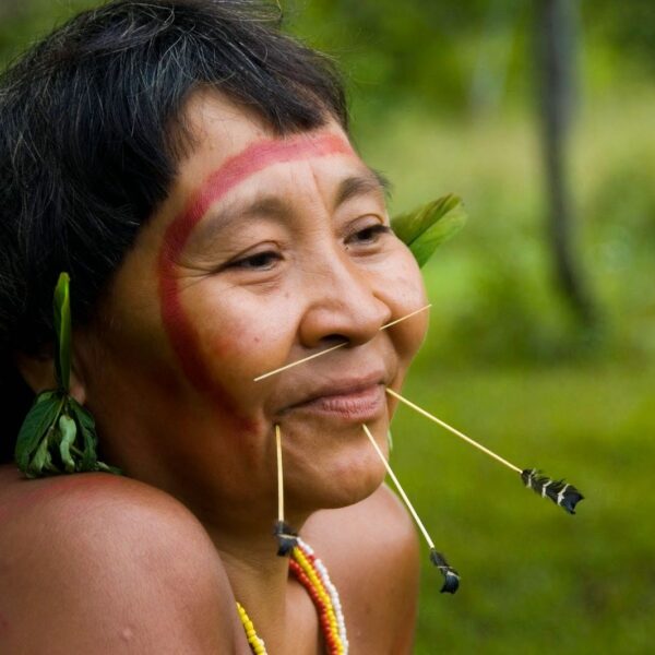 Pós-Graduação em Saúde Indígena