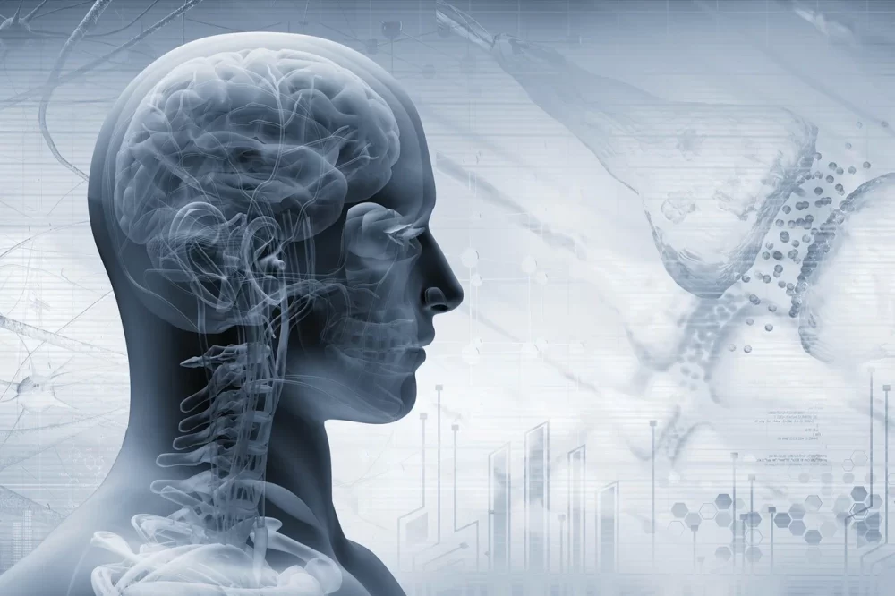 Pós-Graduação em Neuropsicologia - Image 2