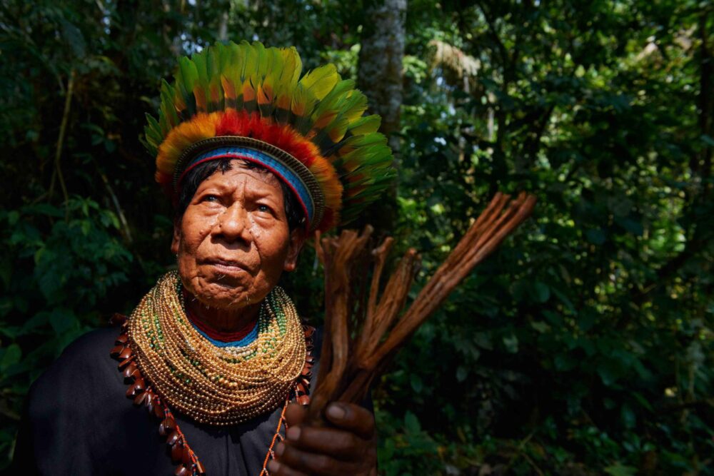 Pós-Graduação em Saúde e Cultura Indígena