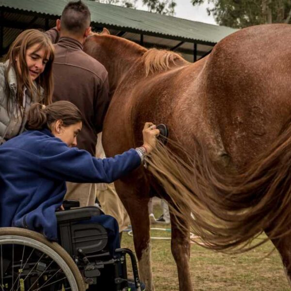 Pós-Graduação em Terapia com Cavalos (Equoterapia)