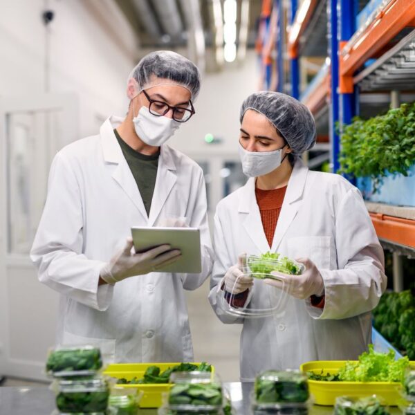 Pós-Graduação em Gestão de Qualidade de Alimentos