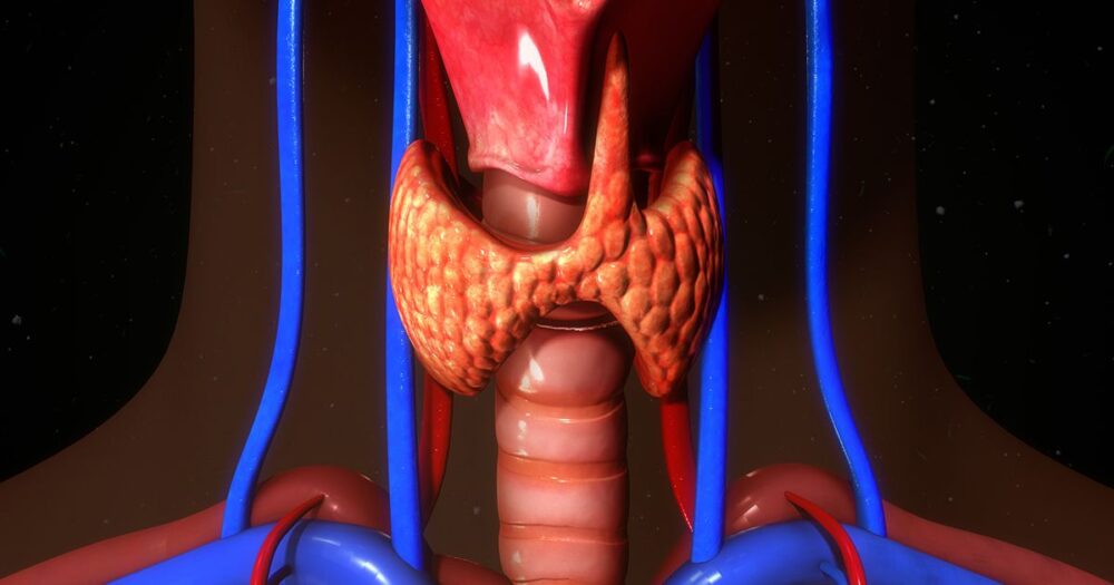 Pós Graduação em Endocrinologia e Metabologia – EAD