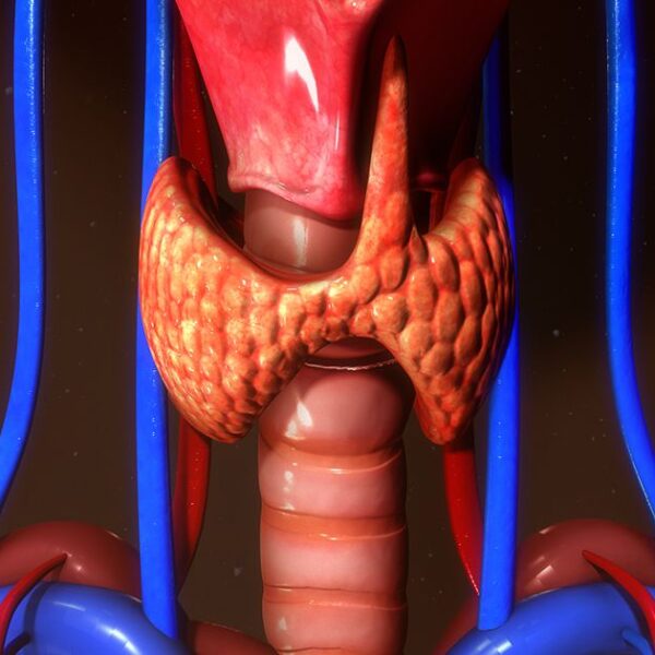 Pós Graduação em Endocrinologia e Metabologia – EAD